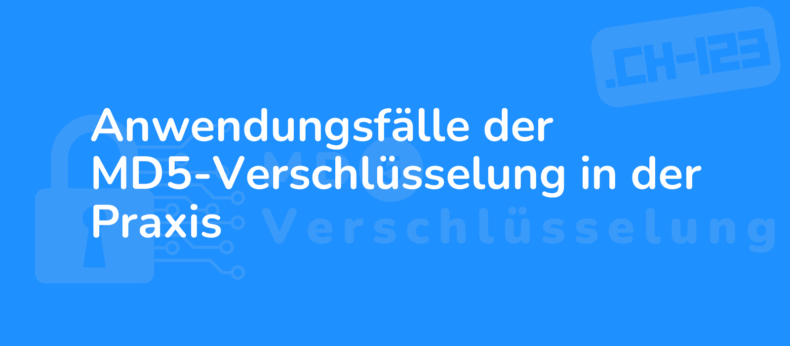 dynamic representation of md5 encryption use cases in practice with vibrant visuals and intricate details demonstrating its practicality