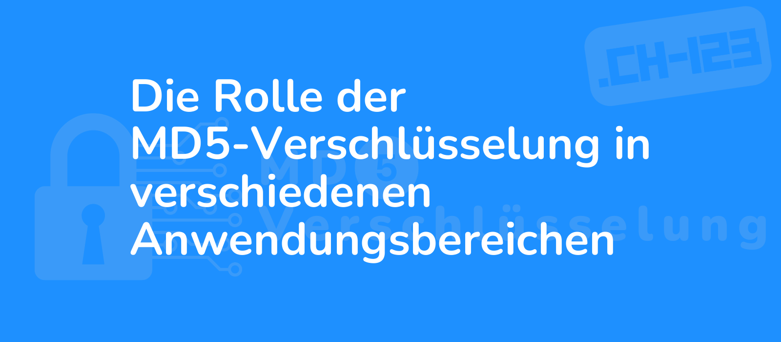 high resolution image depicting the significance of md5 encryption in various domains with intricate details and vibrant colors