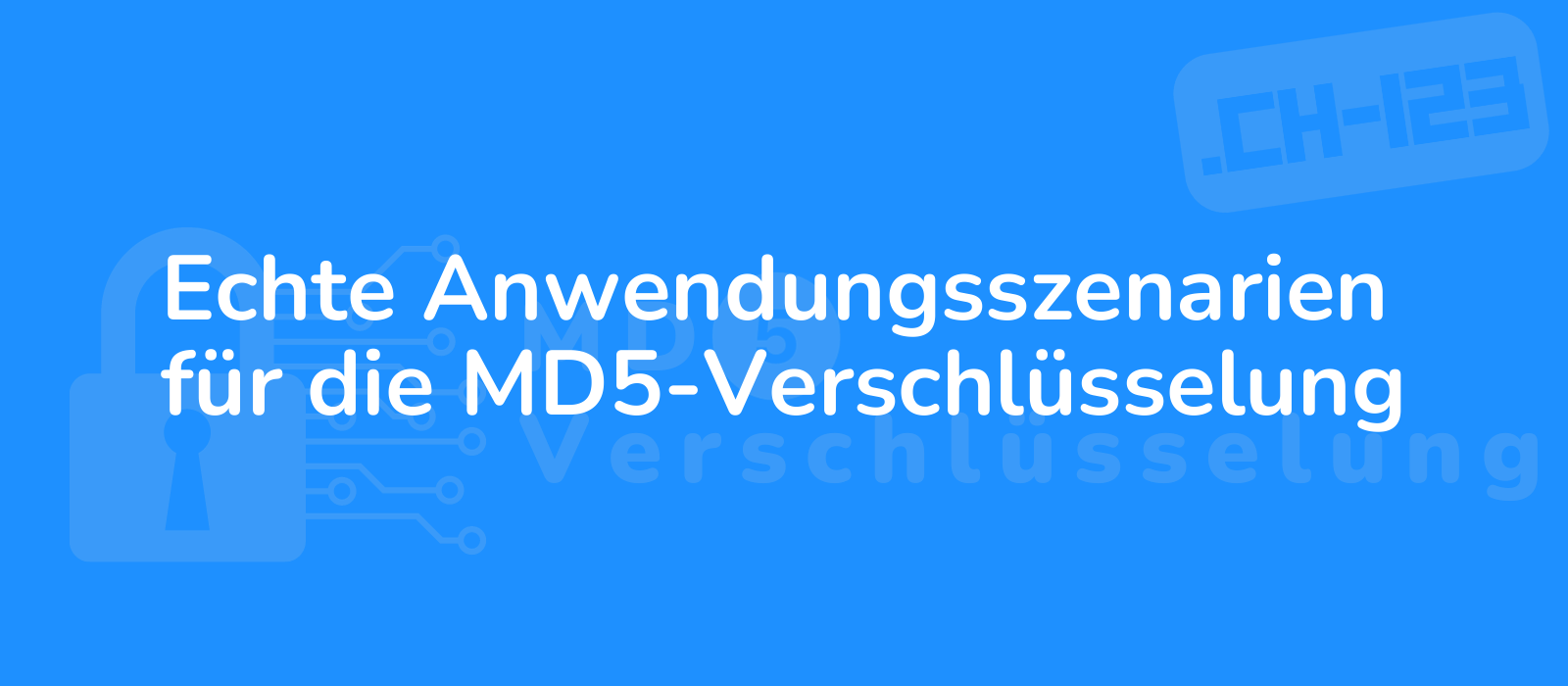 real world scenarios showcasing md5 encryption secure coding and data protection 8k realistic representation
