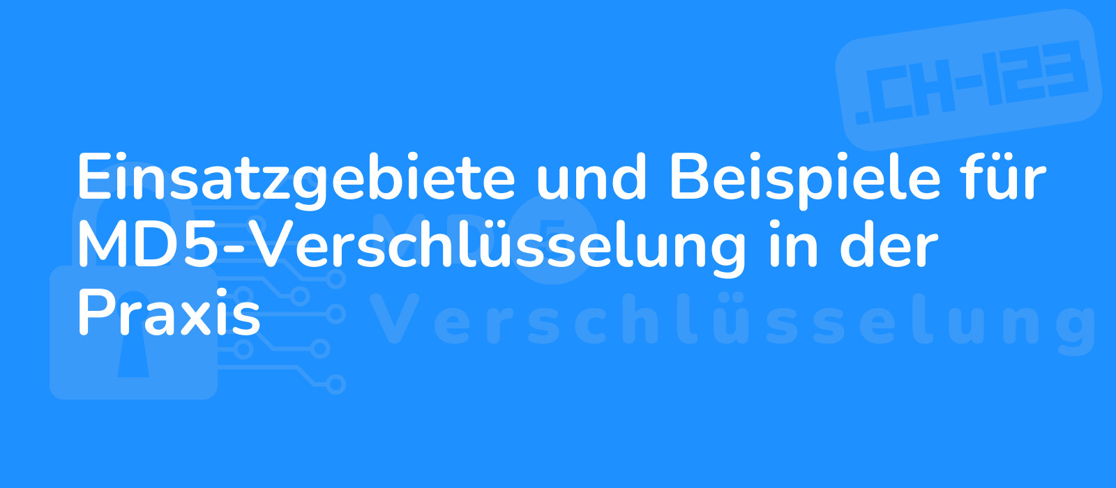 md5 encryption in practice illustration showing diverse applications and examples with a modern design and vibrant colors