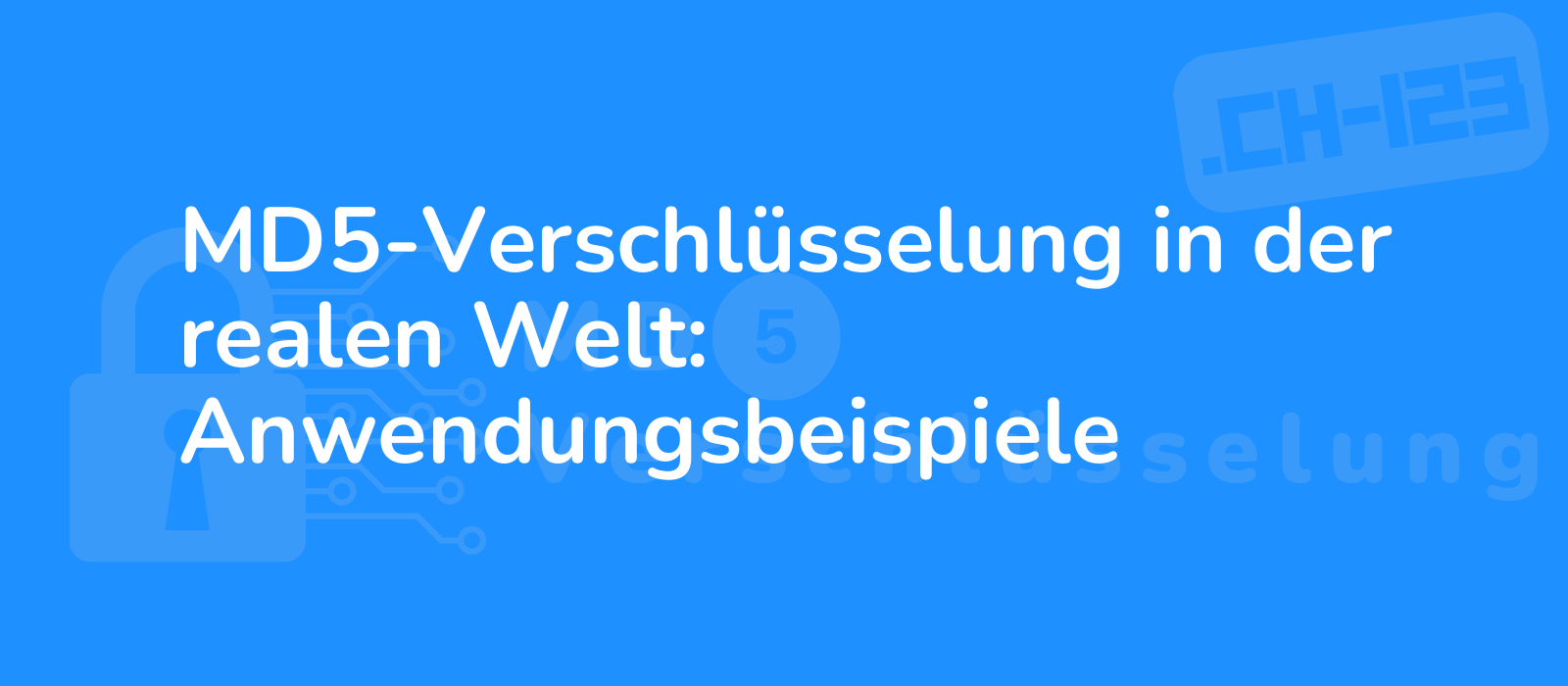 real world application examples of md5 encryption illustration of diverse scenarios with encryption algorithms visually striking and informative