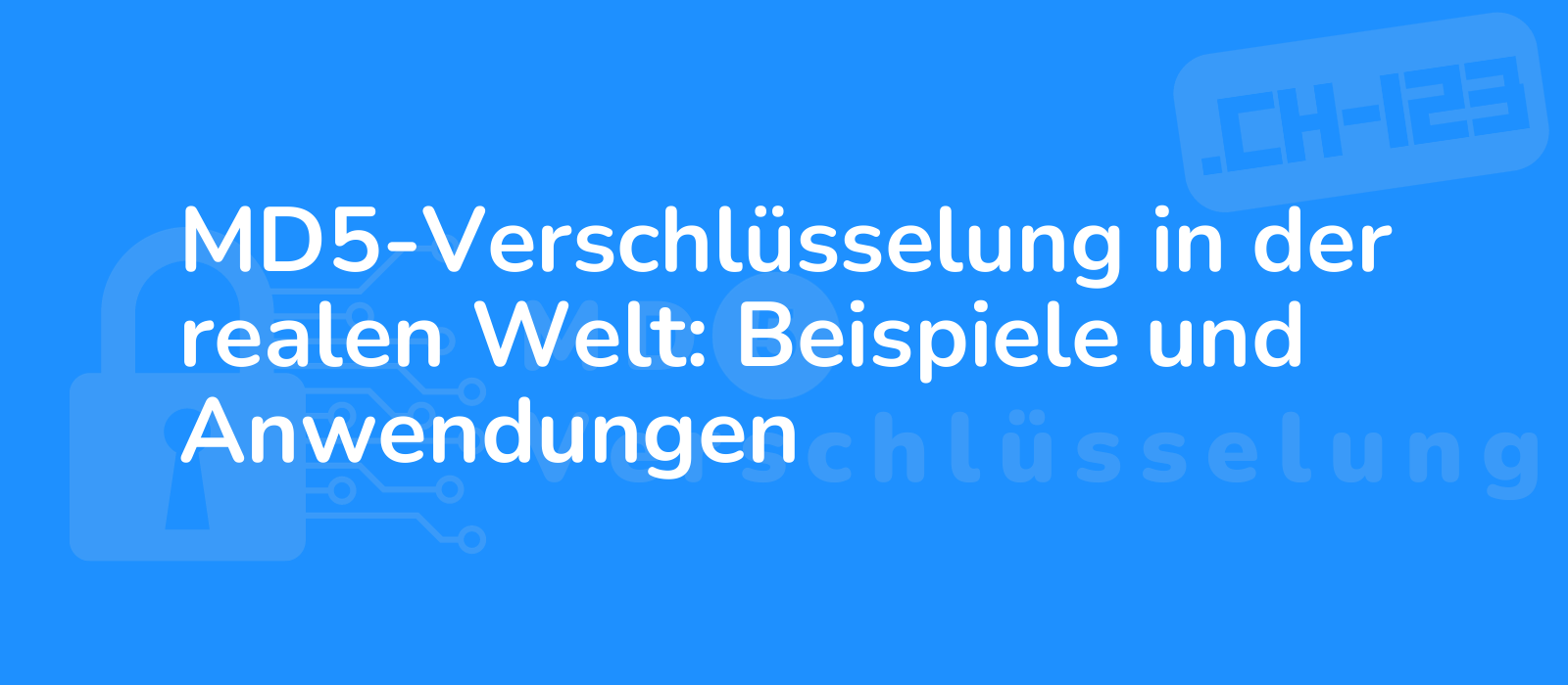 real life examples and applications of md5 encryption illustration depicts encryption techniques in action 8k dynamic