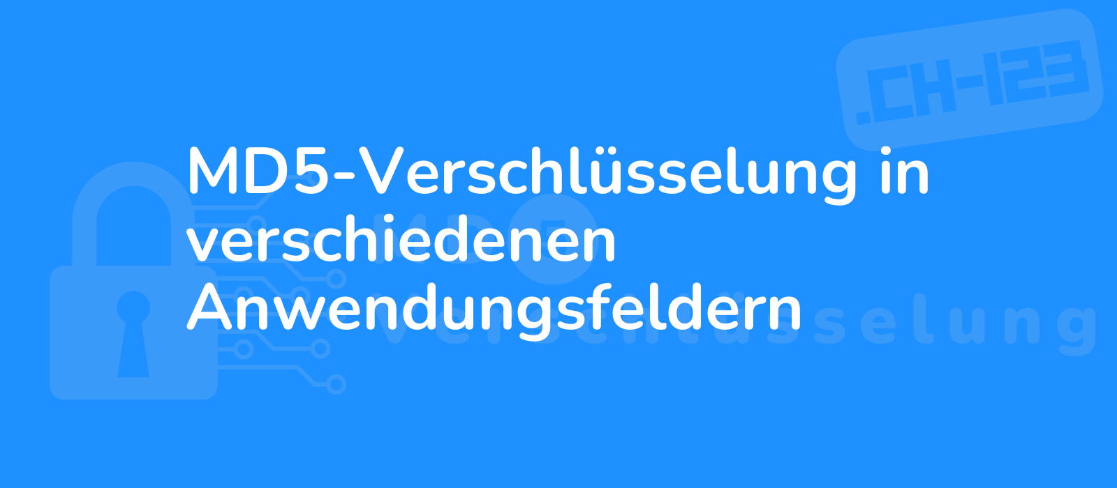 close up of a padlock with md5 encryption symbol representing secure data protection across various fields