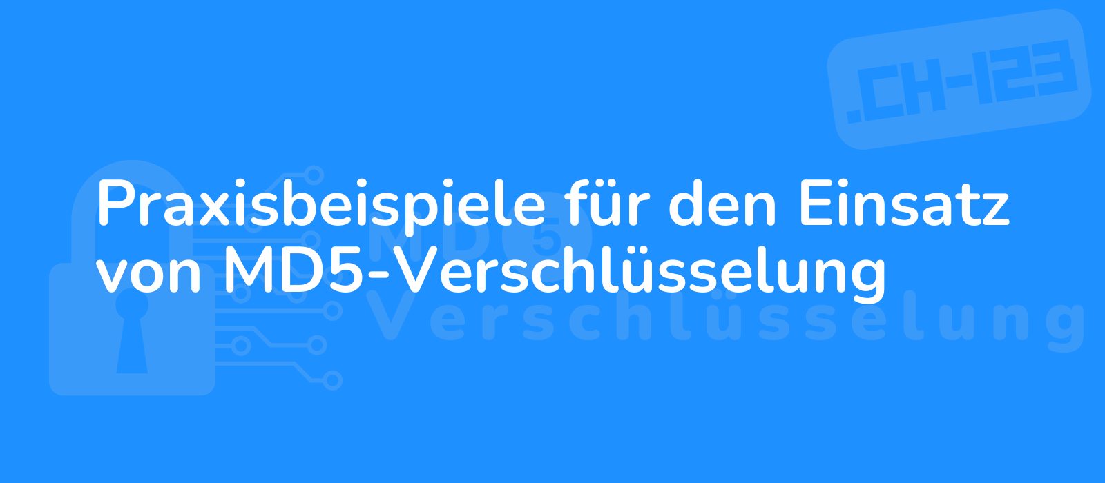 visually captivating image showcasing md5 encryption implementation with a modern aesthetic and crisp details conveying security and technological advancement