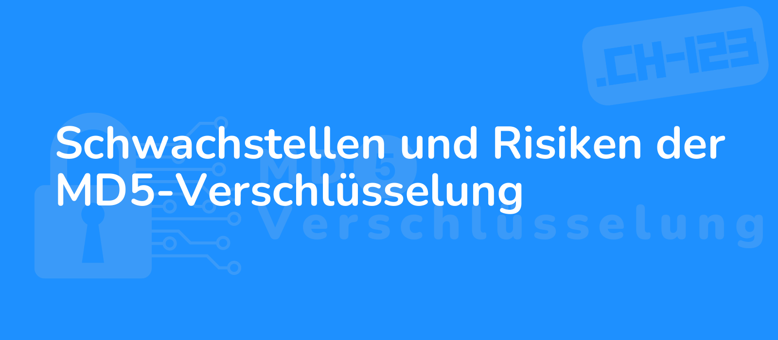 detailed depiction of the vulnerabilities and risks of md5 encryption emphasizing weak points 8k illustrative