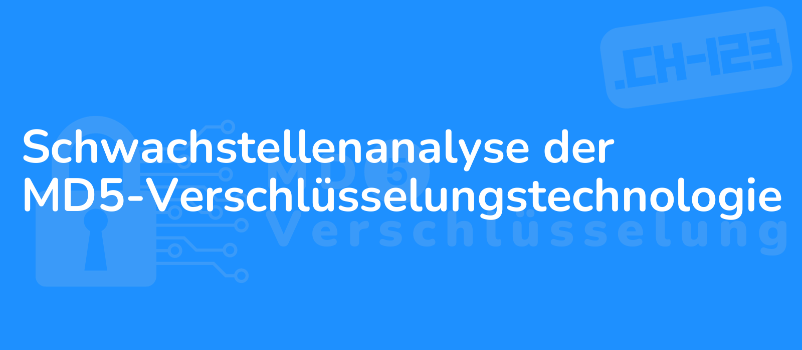 detailed analysis of md5 encryption technology with a representation of key vulnerabilities in a digital themed design