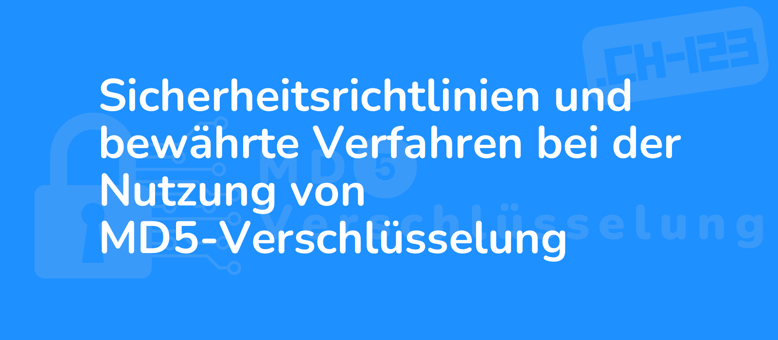 secure practices for md5 encryption usage depicted in a concise image with technical elements emphasizing safety measures
