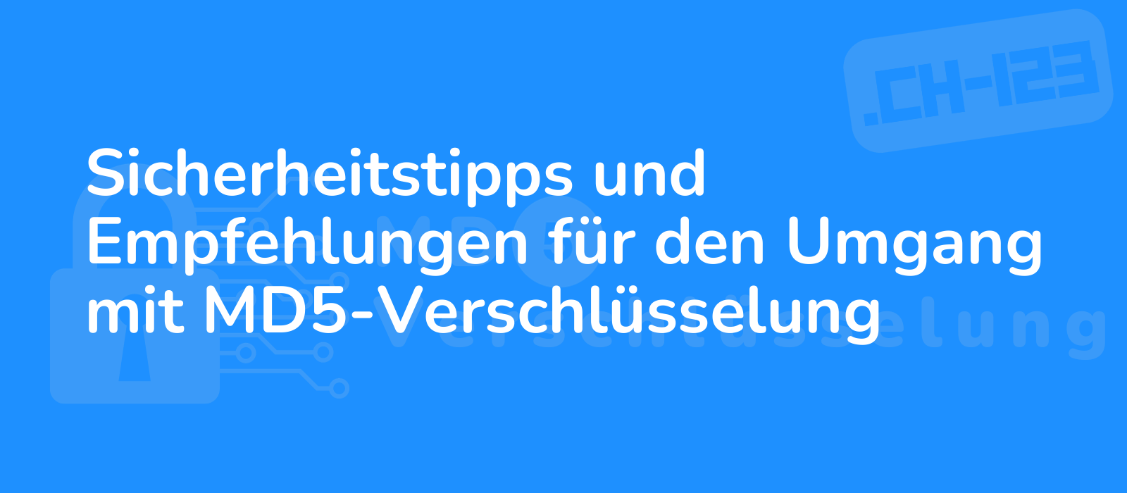 expertly illustrated image with a secure lock symbol and code snippets representing md5 encryption tips and recommendations