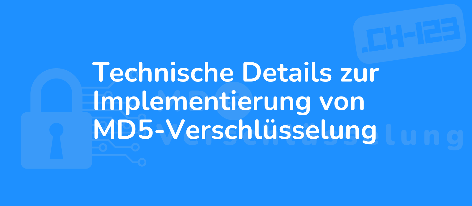 technical details of md5 encryption implementation depicted in a concise and comprehensive image 8k resolution showcasing intricate intricacies